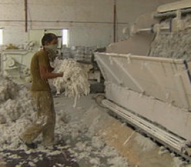印度工人处理石棉