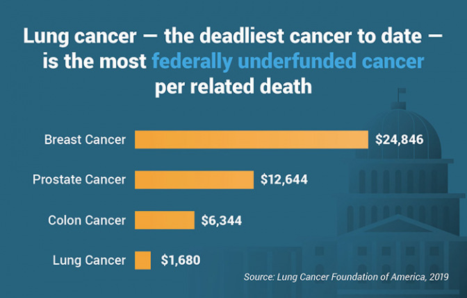 癌症基金与肺癌基金的对比柱状图。