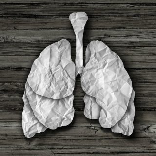 纸糊的肺