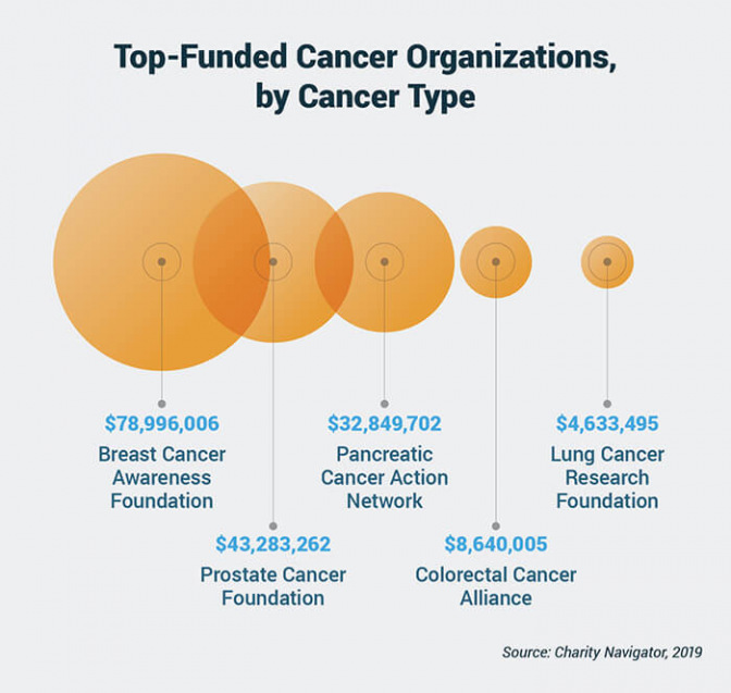 2019年资助最多的癌症组织的癌症类型统计。