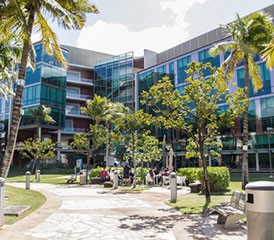 夏威夷大学癌症中心