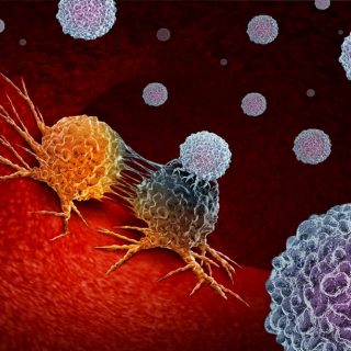 免疫疗法攻击癌细胞