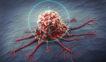 癌细胞与目标的特写
