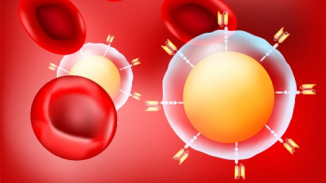 汽车T细胞和红细胞图形