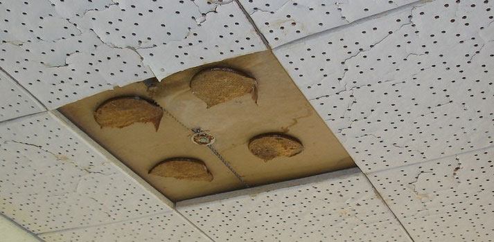 一所学校里用石棉做的天花板砖