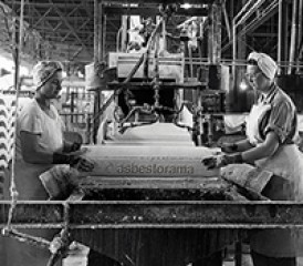 石棉工厂工人