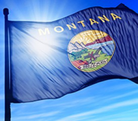 蒙大拿州旗帜