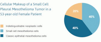 小细胞肿瘤的细胞组成