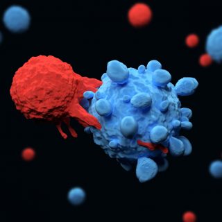 T细胞攻击癌细胞