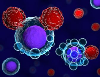 T细胞攻击癌症