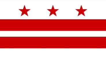 华盛顿特区州旗