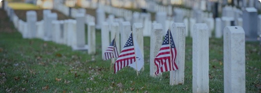 坟墓在一位退伍军人的公墓与美国国旗