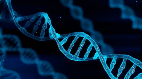 蓝色的染色体DNA 3 d图呈现