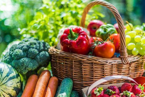 Fruit and vegetable spread outdoors