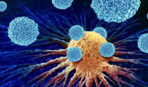 Immunotherapy illustration